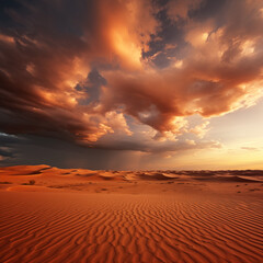 sunset in the desert