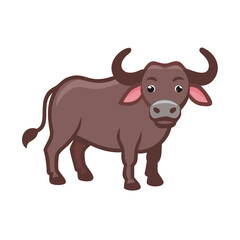 African Cape Buffalo