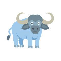 African Cape Buffalo