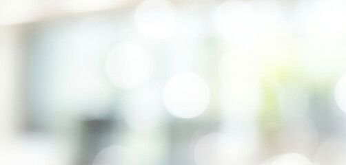 Obraz premium Abstract DSLR blurred background featuring soft light bokeh circles in white and pale green tones, evoking a fresh modern and elegant business mood.