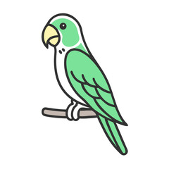 Pet Parakeet Bird