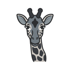 Obraz premium Giraffe Facing Forward
