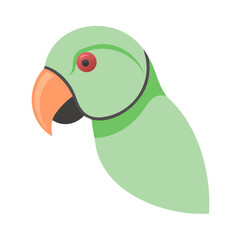 Alexandrine Parrot Closeup

