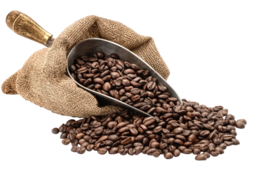 Rich roasted coffee beans poured from a burlap sack with a metal scoop macro shot