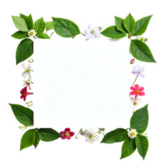 Fototapeta premium Square blank paper framed by green leaves and diverse small blossoms.