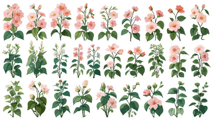 Elegant Blooming Vine Vector &ndash; Stunning Flower Illustration Vectors Highlighting Refined Leaf Trails, Soft Color Gradients, and Luxurious Floral Harmony for Modern Design Projects.