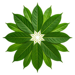Green leaves arranged in a circular floral pattern against a black background.