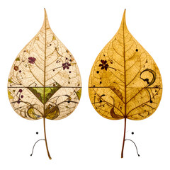 Two decorated skeleton leaves with intricate patterns and flowers.