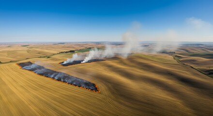 Aerial view of controlled burning in a vast golden field, plumes of smoke against blue sky