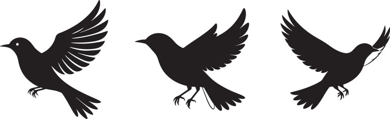 Fototapeta premium Flying Birds Silhouette Vector Illustration