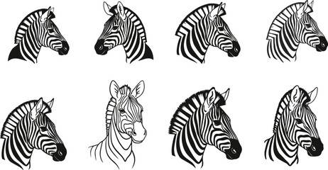 Zebra head illustrations, abstract zebra art, stylized animal portraits, black and white sketch, wildlife design, creative zebra vector set