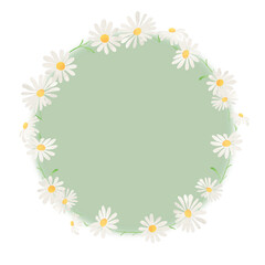 水彩風に描いたカモミールのイラスト