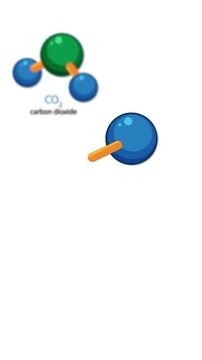 Animated Breakdown of Carbon Dioxide, Oxygen, and Water Molecule Structures