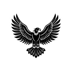 Obraz premium eagle with wings