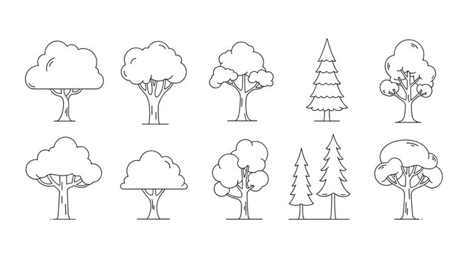 A collection of simple line art drawings of various deciduous and evergreen trees arranged in two rows.