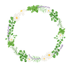 水彩風に描いたハーブのイラスト