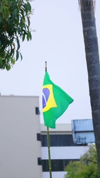 Bandeira do Brail tremulando