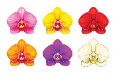 Vibrant collection of orchid flowers in various beautiful colors against a white background.