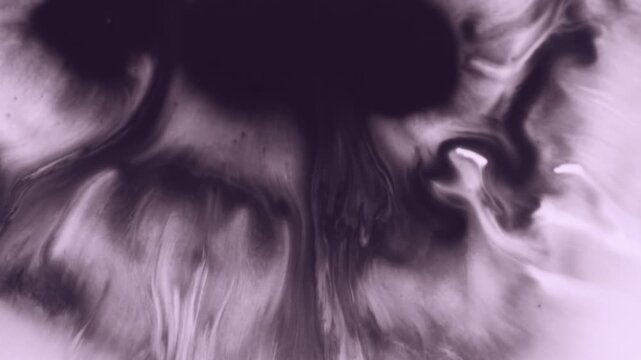 Paint flow. Pour liquid. Defocused purple white color chemical emulsion water texture blotch spreading on creative abstract background.