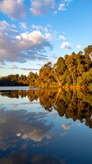 Calm lake reflects sunlit trees beneath a cloudy, blue sky