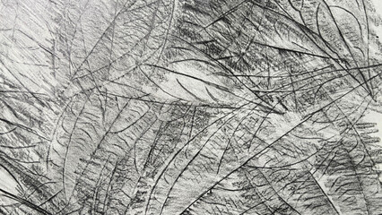 mulberry leaf drawn in pencil, leaf veins drawn with pencil, pencil drawing background material