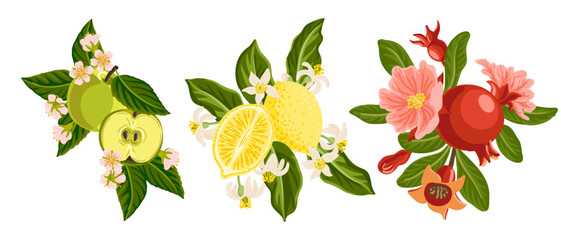 vector drawing compositions with fruits, flowers and green leaves isolated at white background, lemon, apple and pomegranate, hand drawn illustration