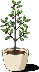 Fototapeta premium Cartoon illustration of a small fruit tree with brown berries in a cream colored pot on a white background