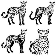 Obraz premium Four monochrome cheetahs in various poses with spotted coats and tails on a white background illustration