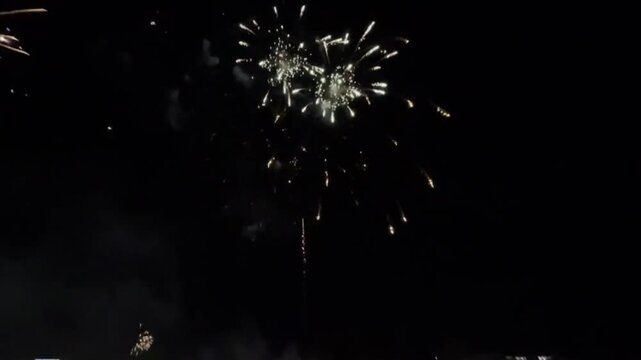 Colorful fireworks light up the sky with an amazing show of light bursting in all directions