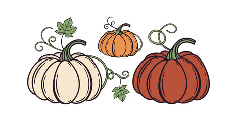 Pumpkin simple flat color icons Halloween vector set white backgraound