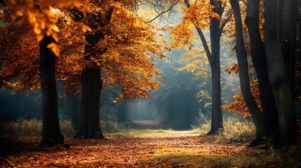 A path through a misty autumn forest with vibrant orange leaves and sunlight filtering through the trees.