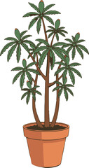 Fototapeta premium Potted plant with multiple branches and palm-like green leaves in an orange pot on a white background