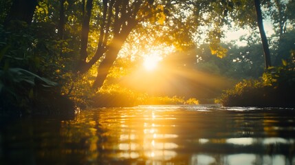 A scenic view of a river in a forest with the sun shining through the trees.