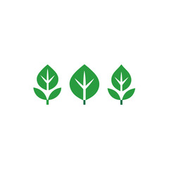 Three green leaves arranged in a row art on transparent background