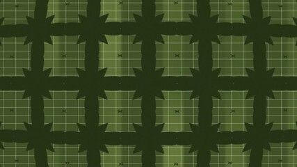 Hypnotic kaleidoscopic loop animation background. Intricate and ever-changing symmetrical geometric patterns in dark green on a grid background. Ideal for event visuals, VJ loops, meditation videos, o