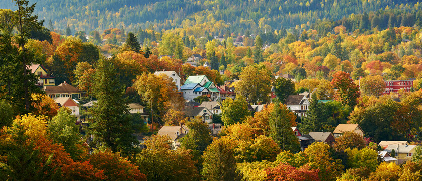 Nelson BC Autumn Colours in Town.A residential neighbourhood in Nelson located in the Selkirk Mountains on the West Arm of Kootenay Lake in the Southern Interior of British Columbia, Canada.
