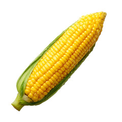 sweet corn