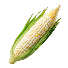 sweet corn