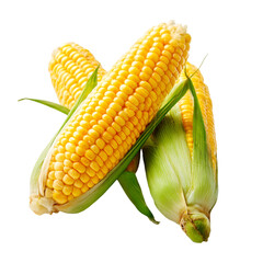 sweet corn