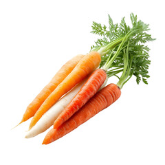 carrot
