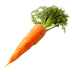 carrot
