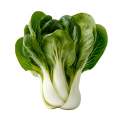 bok choy