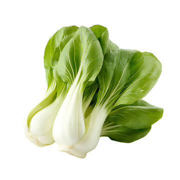 bok choy