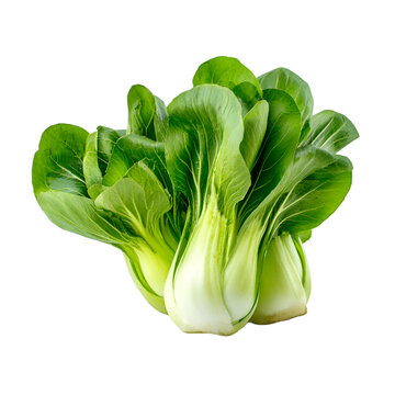 bok choy