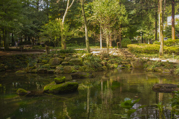 This is a beautiful forest landscape in Korea.