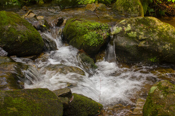 It is a stream in the mountains.