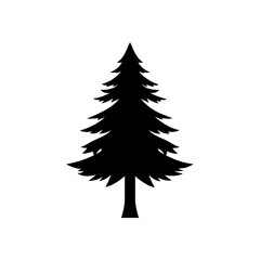 Silhouette of a coniferous evergreen tree on transparent background