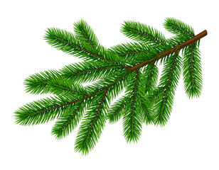 Closeup of an isolated green Christmas fir branch with needles and decoration for the winter holiday season