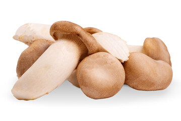 King oyster mushroom Pleurotus eryngii