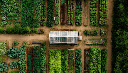 Diverse vegetable and plant garden with greenhouse surrounded by rich greenery in bright daylight